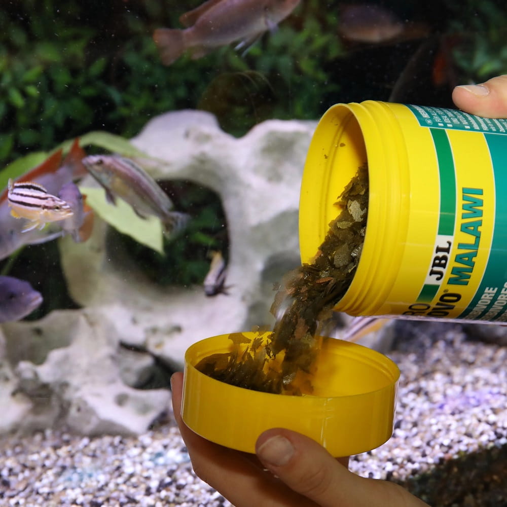 JBL ProNovo Malawi Flakes M Pokarm dla Pielęgnic Płatki 250ml.jpg